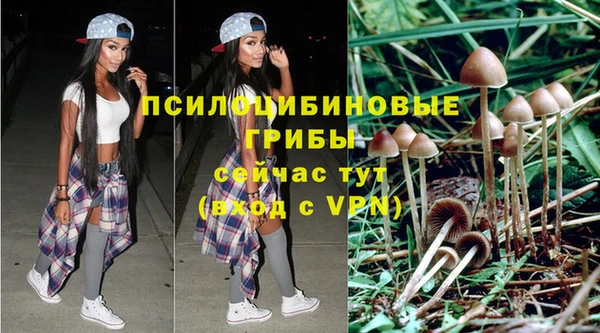 jwh Ладушкин