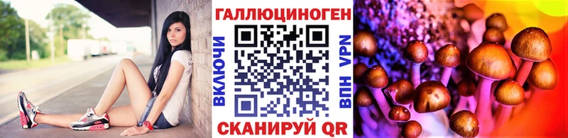 Купить где  Усолье  Псилоцибиновые грибы Psilocybine cubensis 